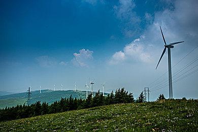 《工人物语》初创者新作《帕格尼亚先驱》年内发售